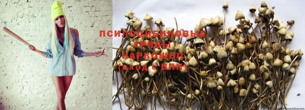 дурь Абаза