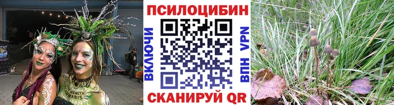 Псилоцибиновые грибы Psilocybe  Киреевск 