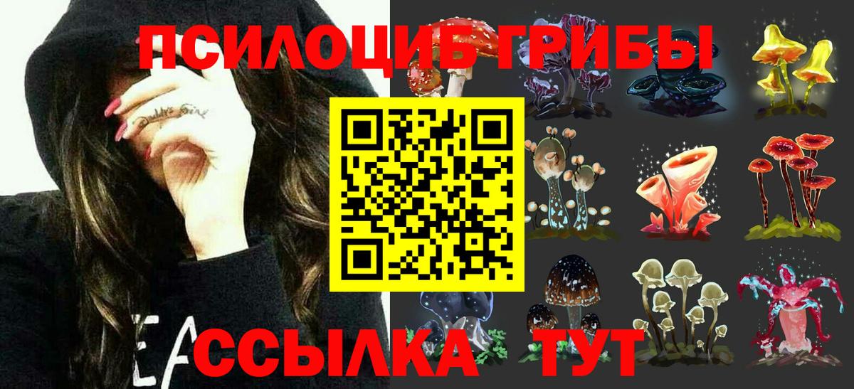 Псилоцибиновые грибы GOLDEN TEACHER Киреевск