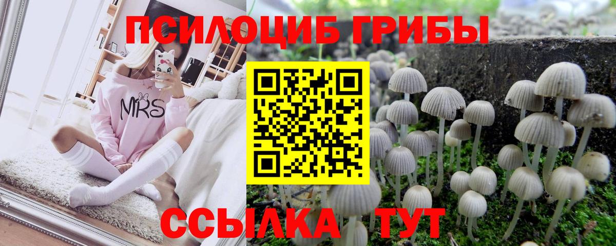 Галлюциногенные грибы GOLDEN TEACHER  как найти закладки  Киреевск  Вход с VPN  Галлюциногенные грибы Cubensis 