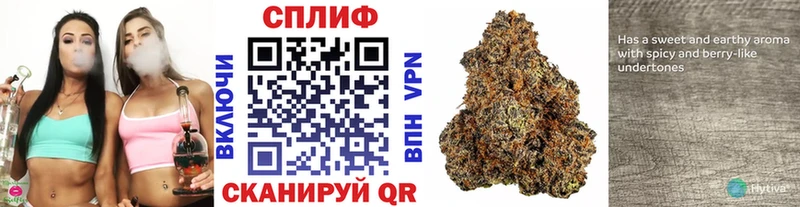 сайты даркнета телеграм Киреевск Каннабис Bruce Banner